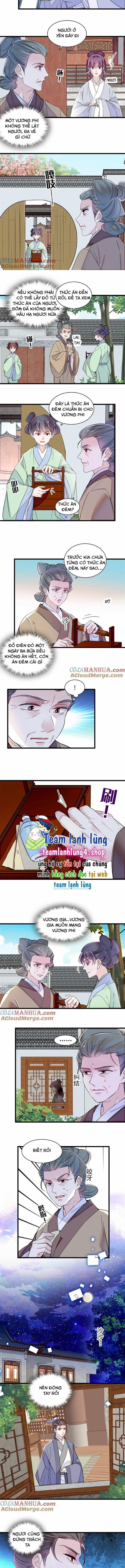 Tự Cẩm 336 trang 3