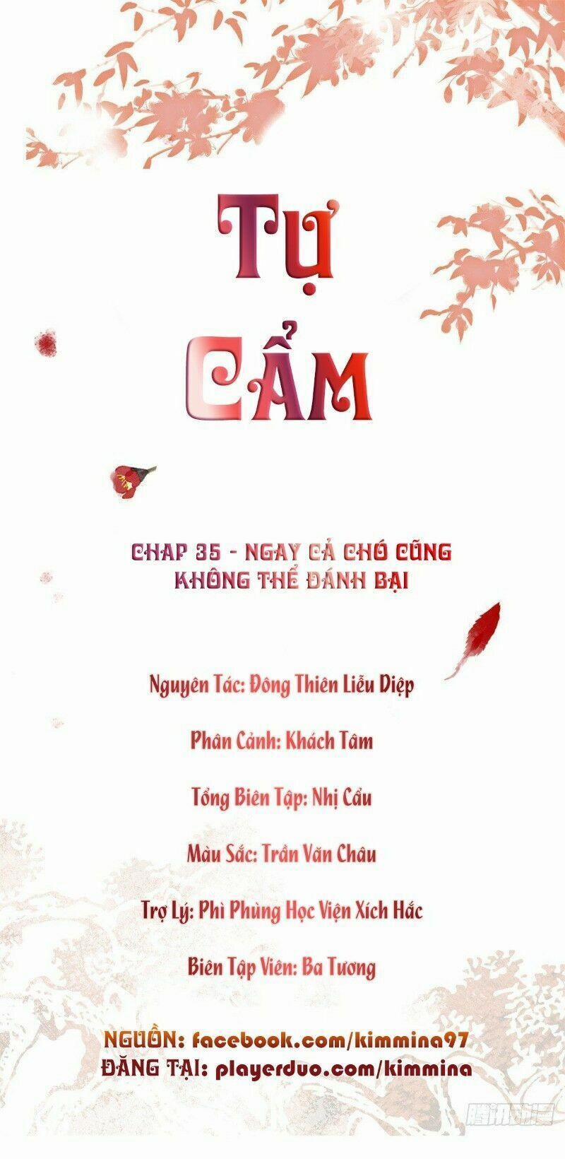 Tự Cẩm 35 trang 1