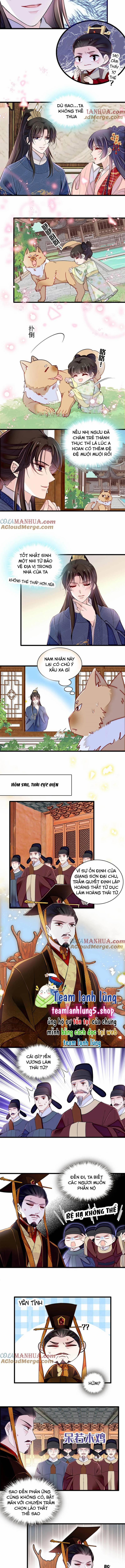 Tự Cẩm 353 trang 4