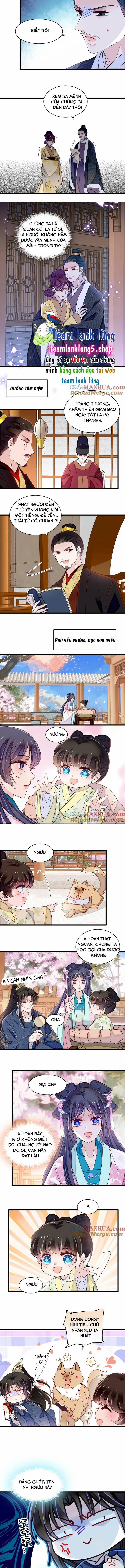 Tự Cẩm 355 trang 5