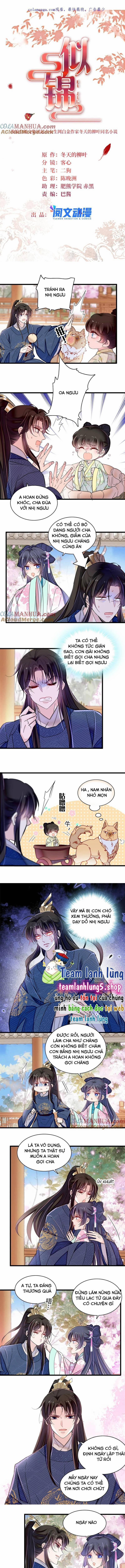 Tự Cẩm 356 trang 1