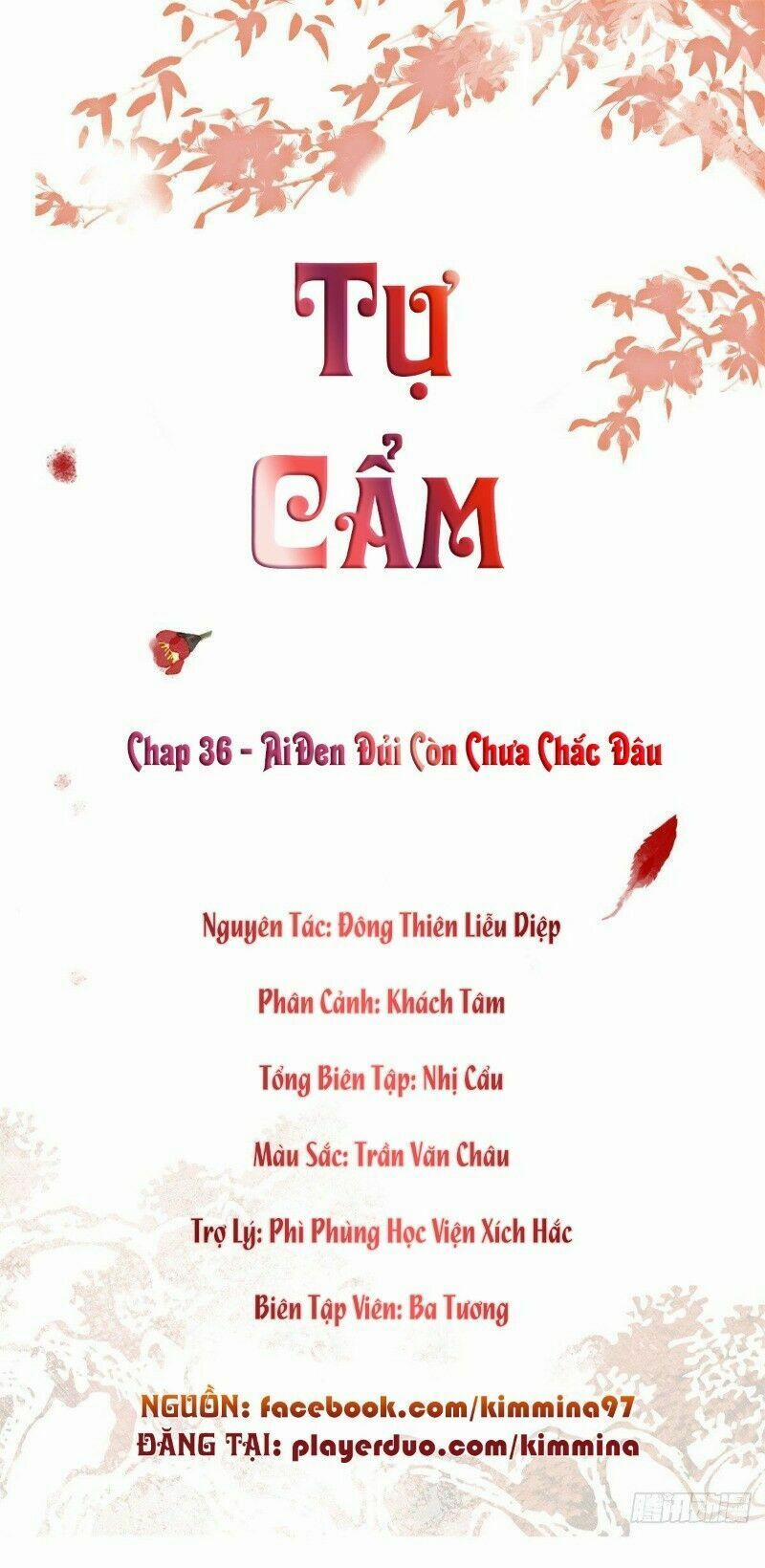 Tự Cẩm 36 trang 0