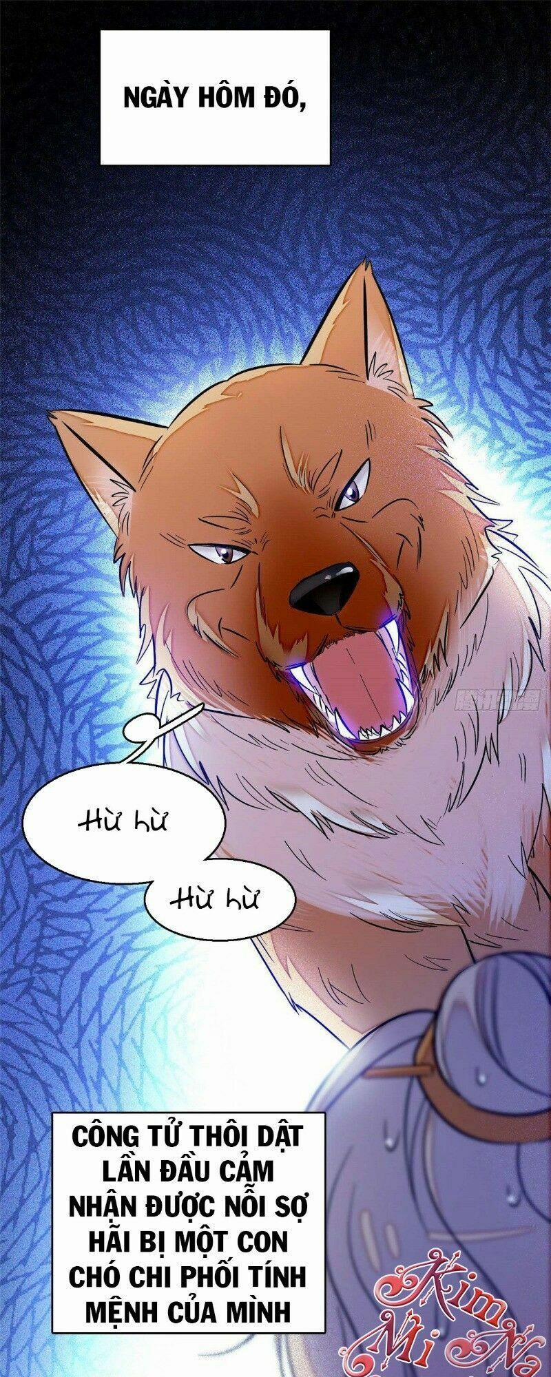 Tự Cẩm 36 trang 1