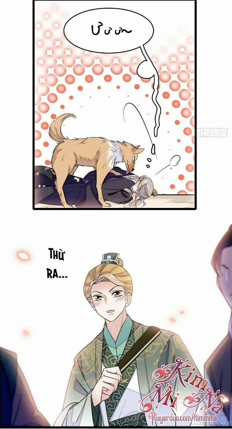 Tự Cẩm 36 trang 9