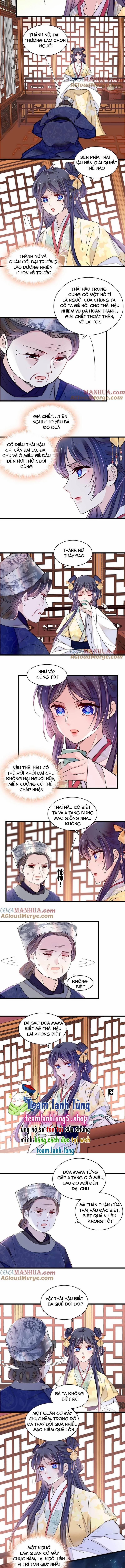 Tự Cẩm 363 trang 4