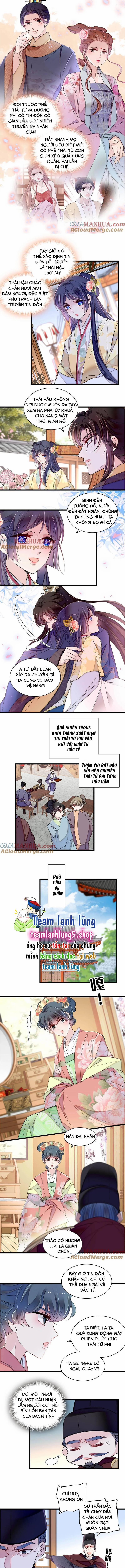 Tự Cẩm 365 trang 3