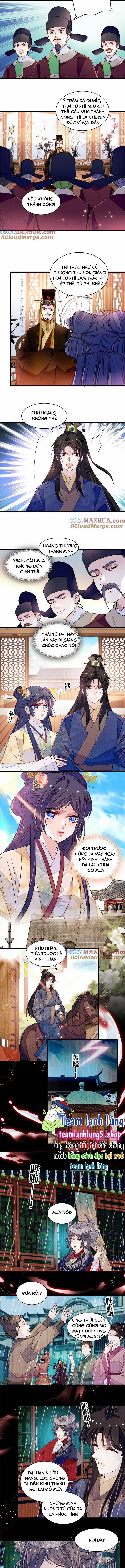 Tự Cẩm 368 trang 3