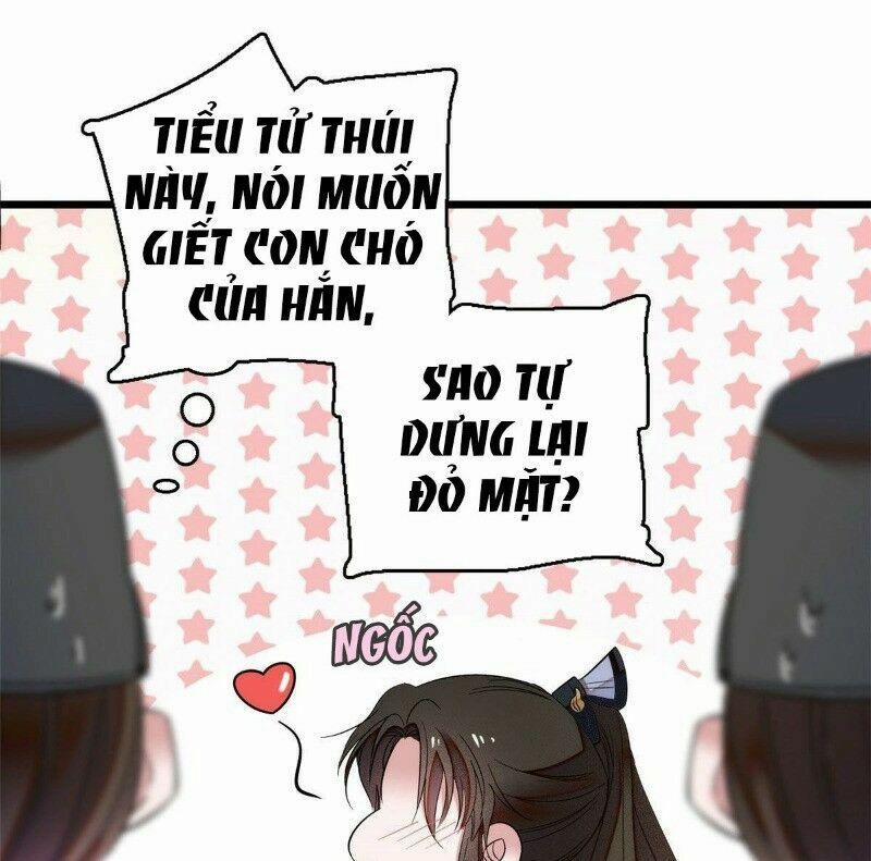 Tự Cẩm 37 trang 10