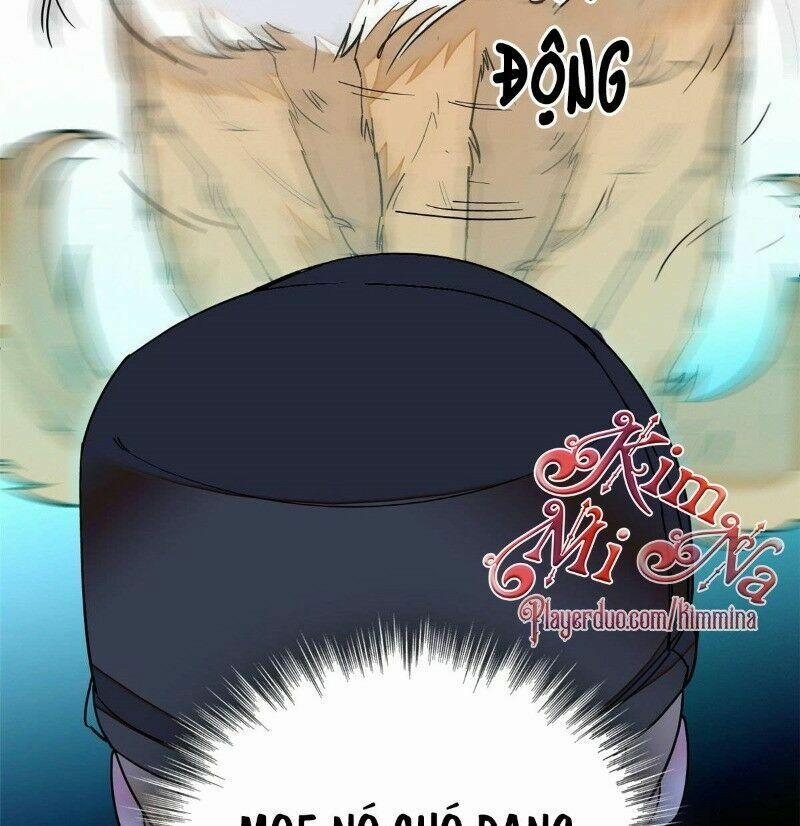 Tự Cẩm 37 trang 23