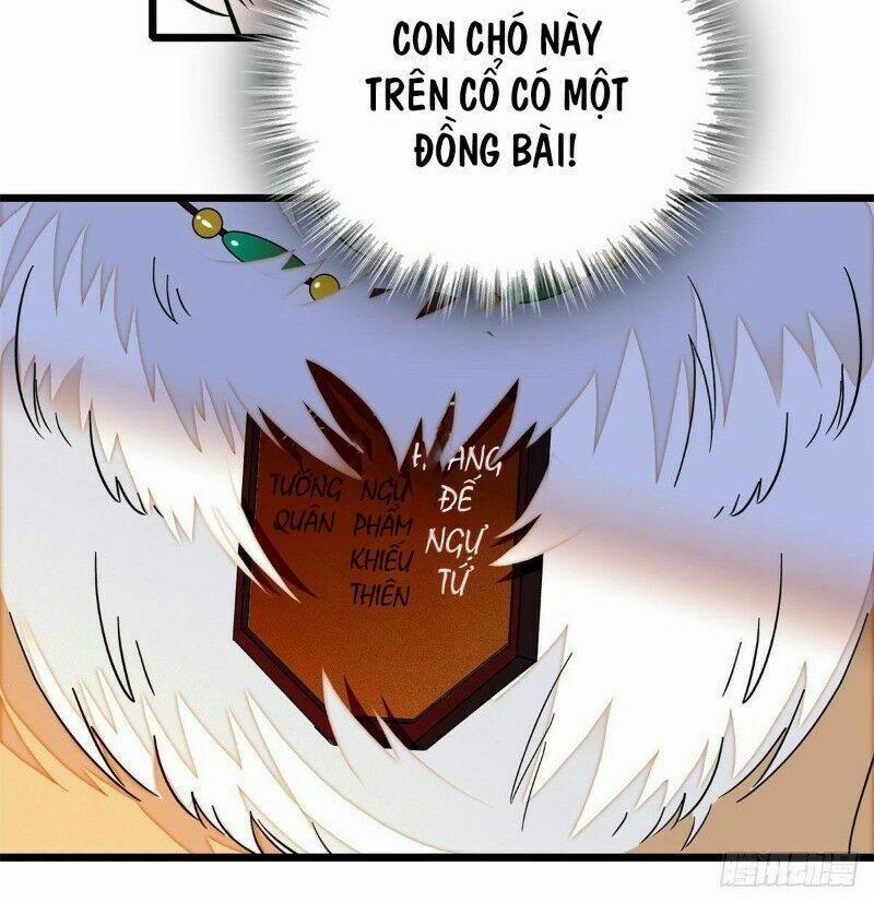 Tự Cẩm 37 trang 25