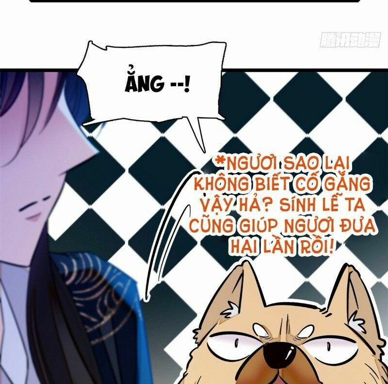 Tự Cẩm 38 trang 10