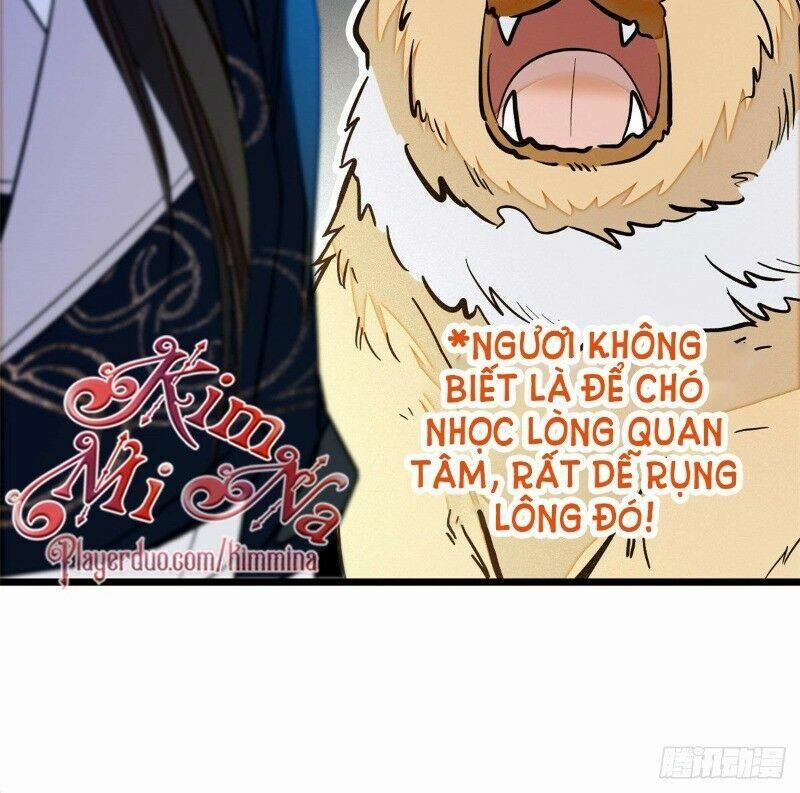 Tự Cẩm 38 trang 11