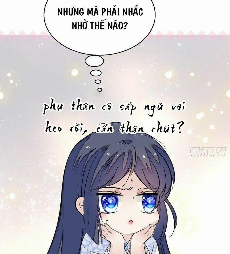 Tự Cẩm 42 trang 11