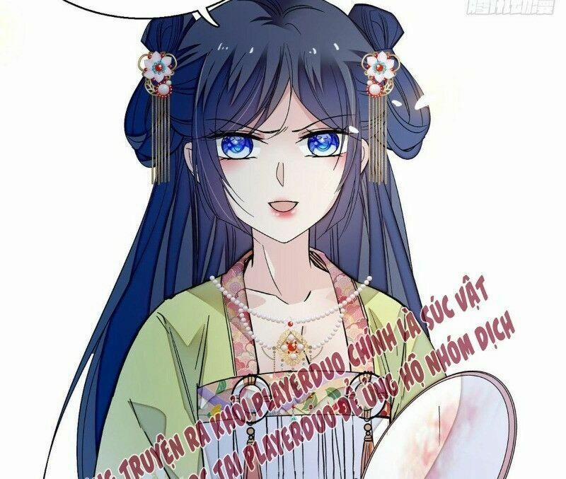 Tự Cẩm 43 trang 21