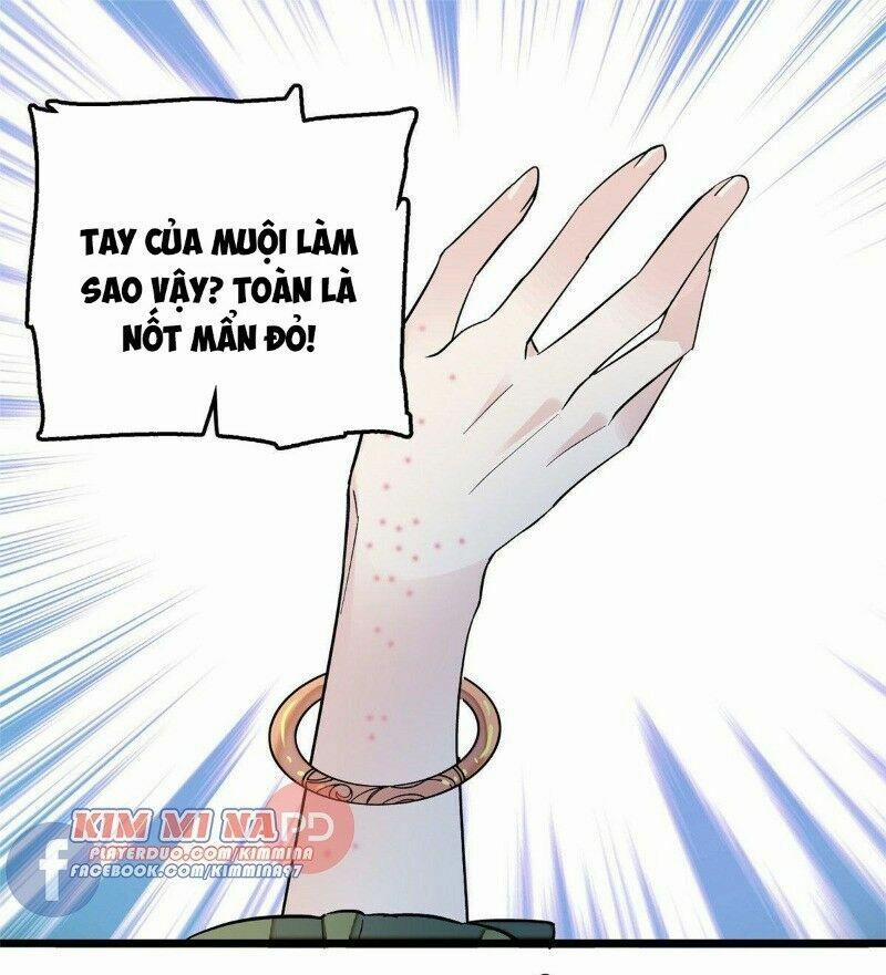 Tự Cẩm 48 trang 1