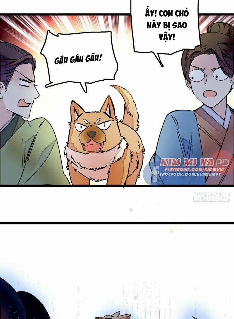 Tự Cẩm 49 trang 17