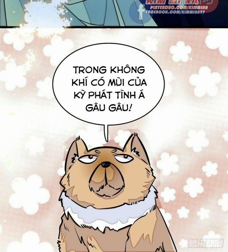 Tự Cẩm 51 trang 27