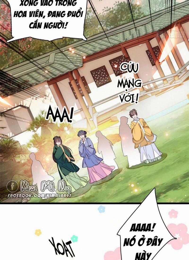 Tự Cẩm 74 trang 10