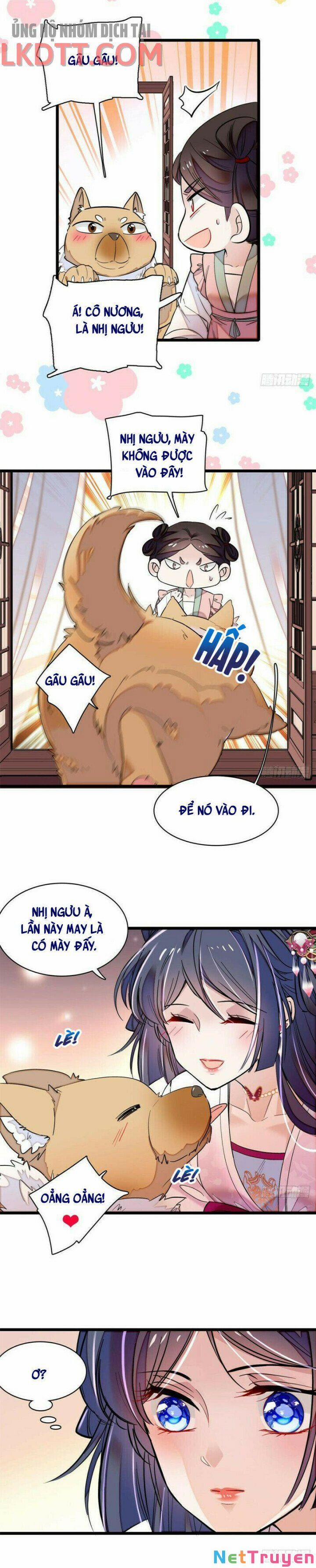 Tự Cẩm 76 trang 1