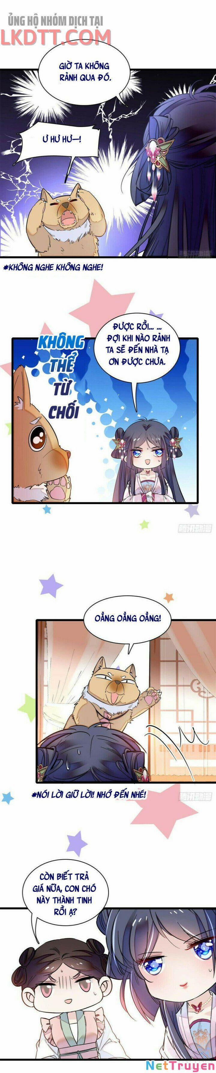 Tự Cẩm 76 trang 5