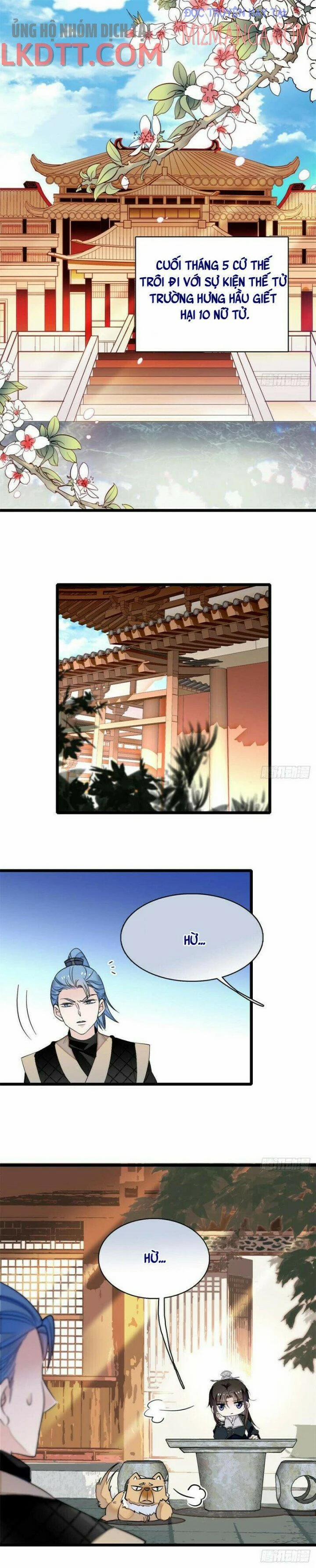 Tự Cẩm 78 trang 1