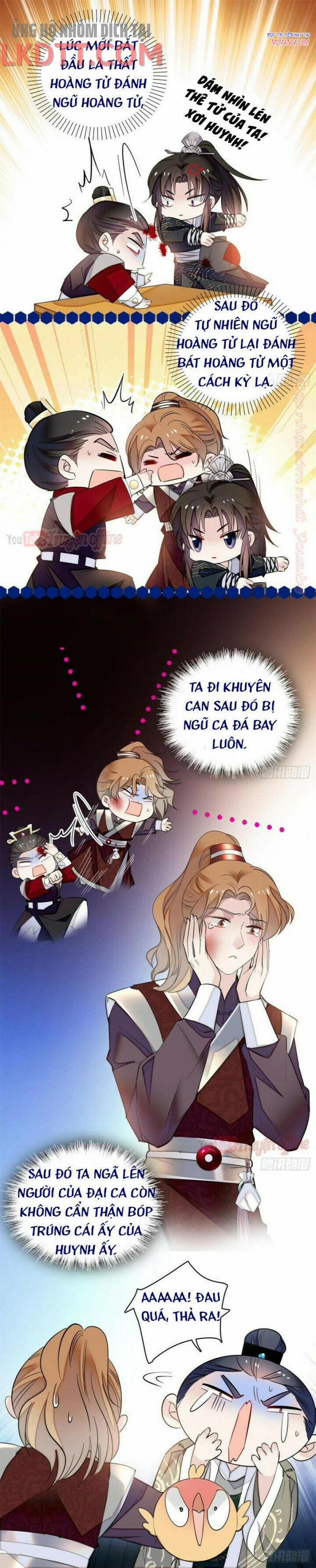 Tự Cẩm 79 trang 2