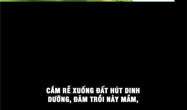 Tu Chân Nói Chuyện Phiếm Quần 158.4 trang 61