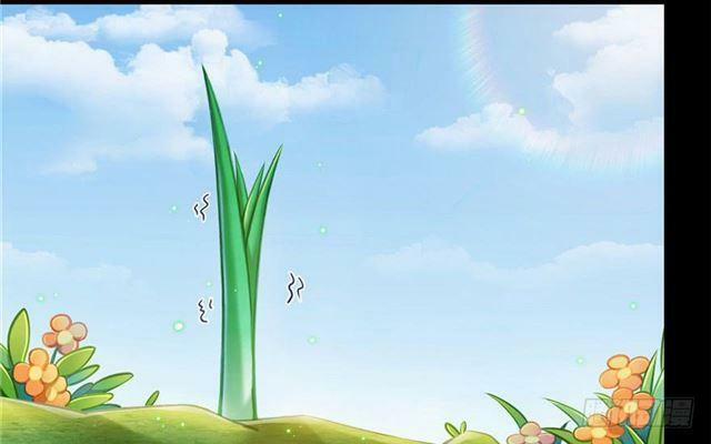 Tu Chân Nói Chuyện Phiếm Quần 158.4 trang 62