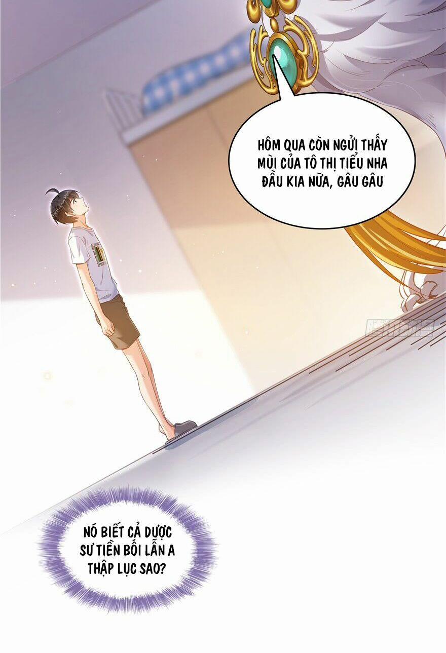 Tu Chân Nói Chuyện Phiếm Quần 70 trang 42