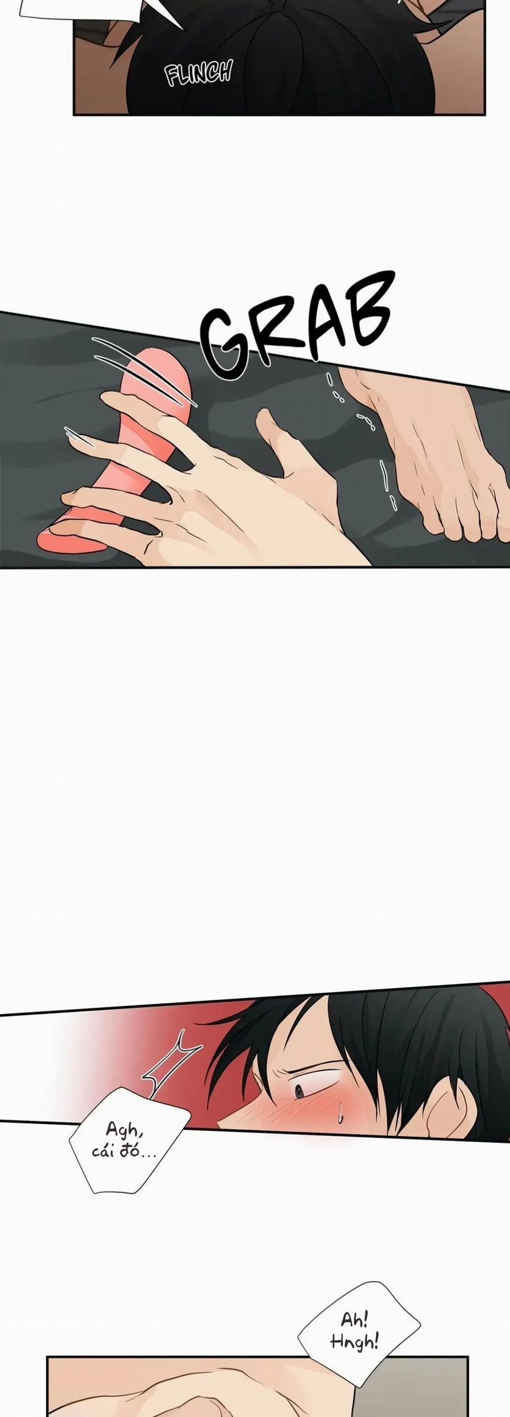 Từ Đầu Xuống Chân 2 trang 13