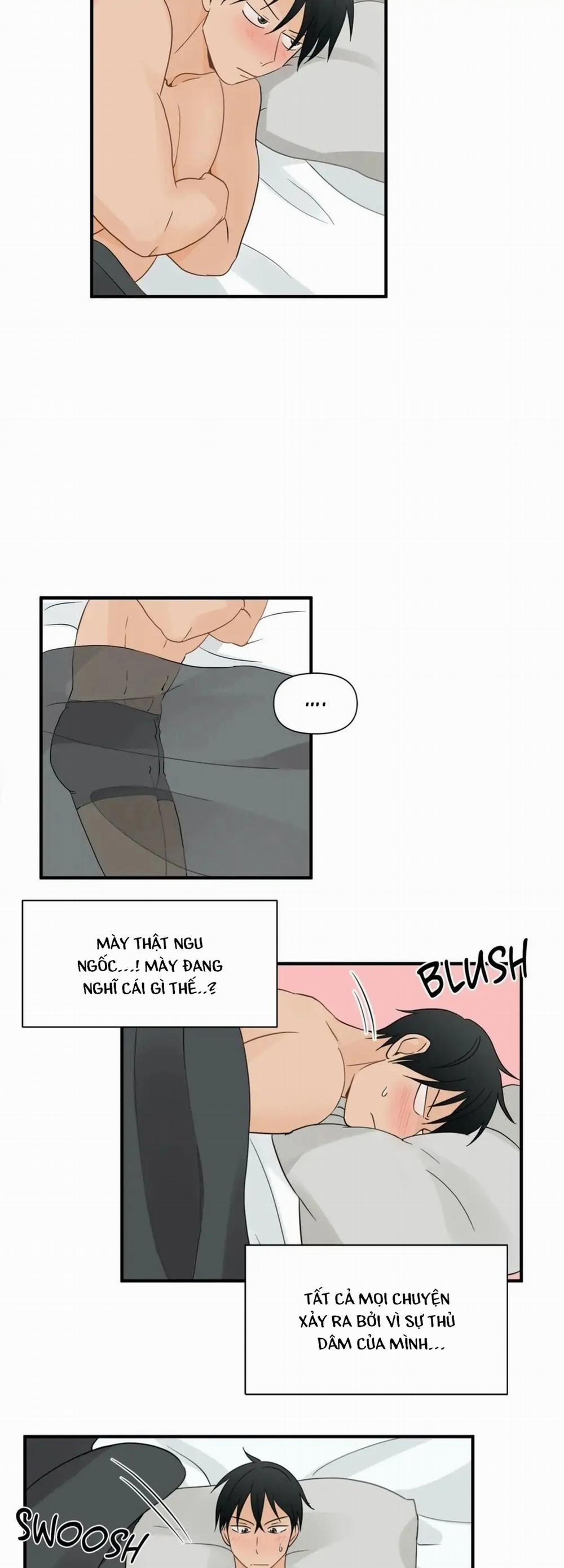 Từ Đầu Xuống Chân 4 trang 13