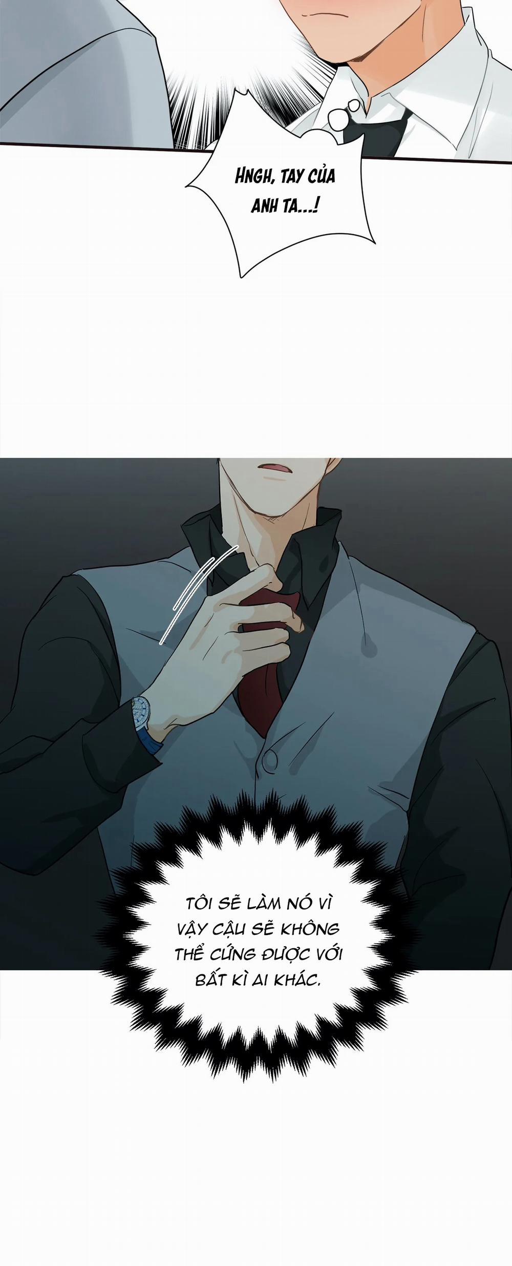 Từ Đầu Xuống Chân 6 trang 14