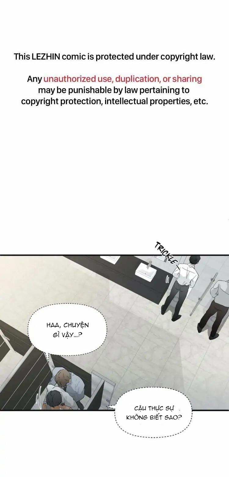 Từ Đầu Xuống Chân 8 trang 1