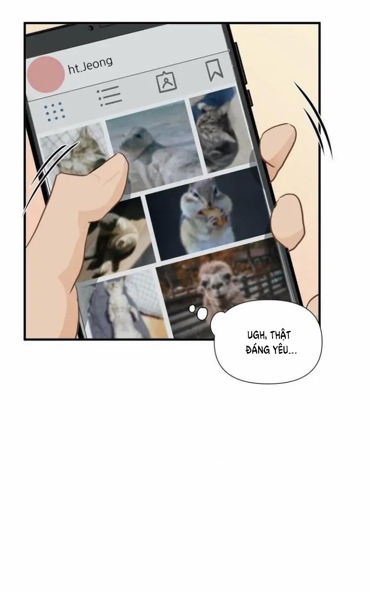 Từ Đầu Xuống Chân 8 trang 19