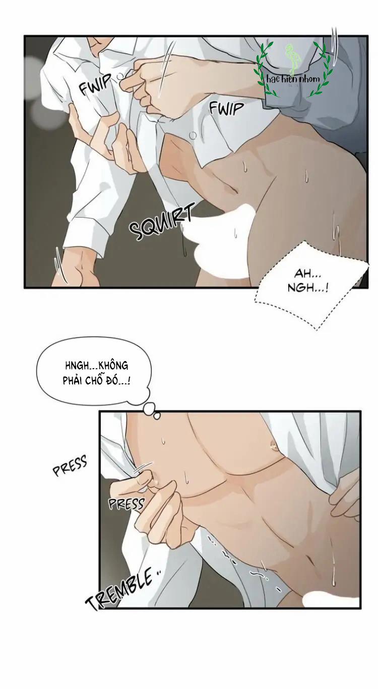 Từ Đầu Xuống Chân 8 trang 4