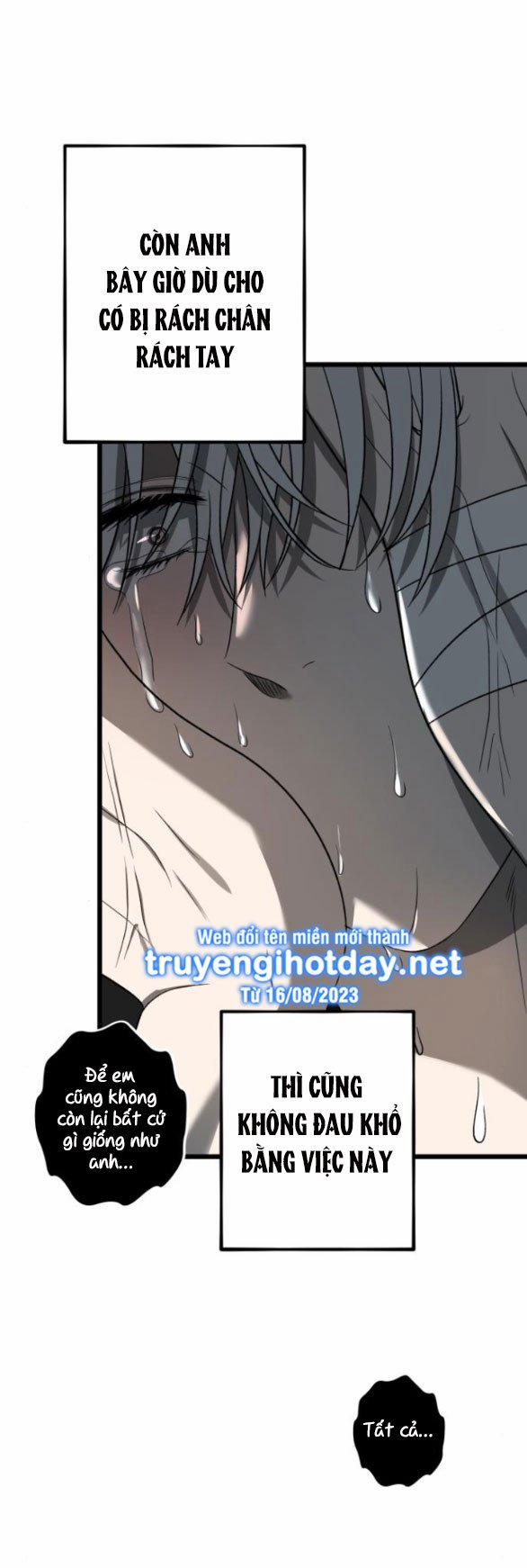 Tự Do Trong Mơ 115.2 trang 13