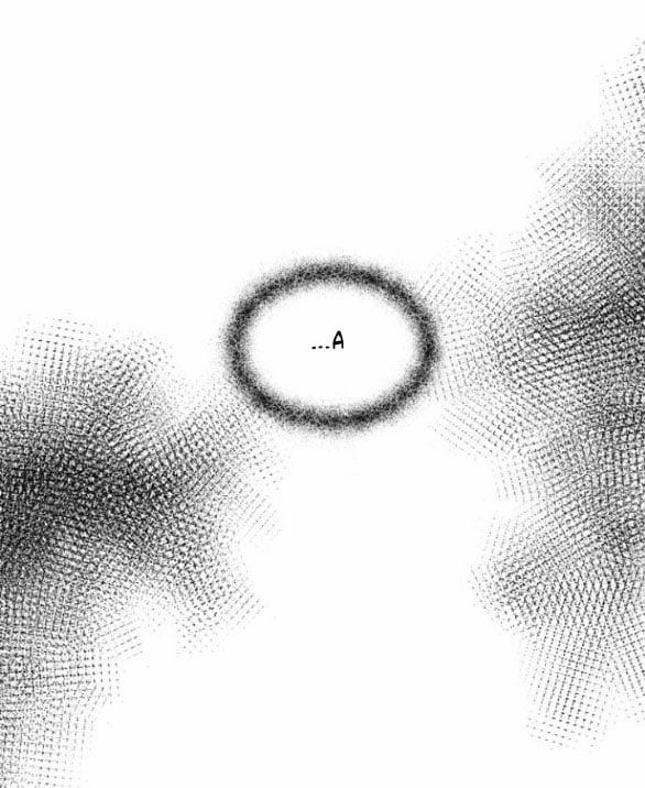 Tự Do Trong Mơ 122.1 trang 8