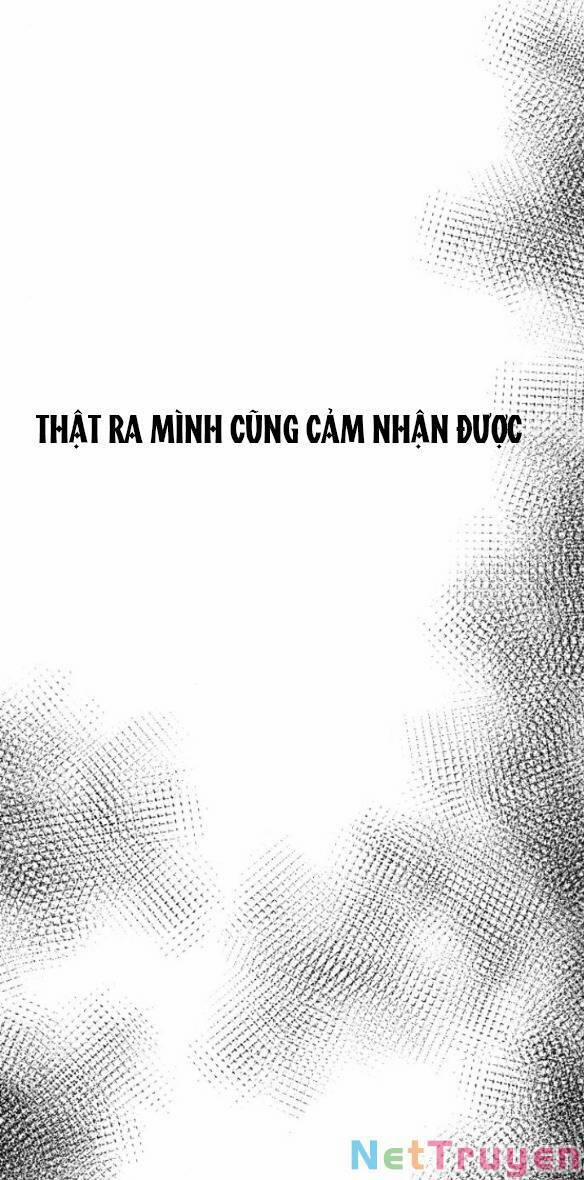 Tự Do Trong Mơ 81.2 trang 13