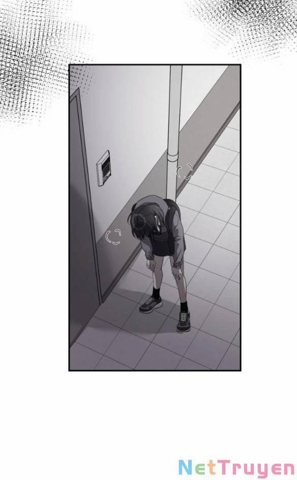 Tự Do Trong Mơ 81.2 trang 15