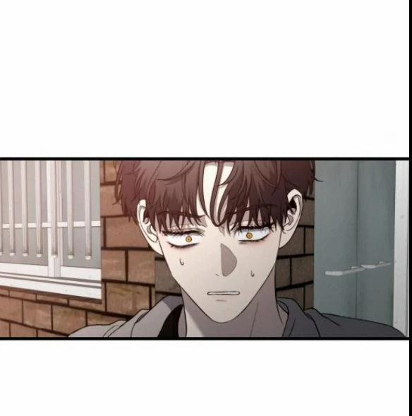 Tự Do Trong Mơ 83.2 trang 14