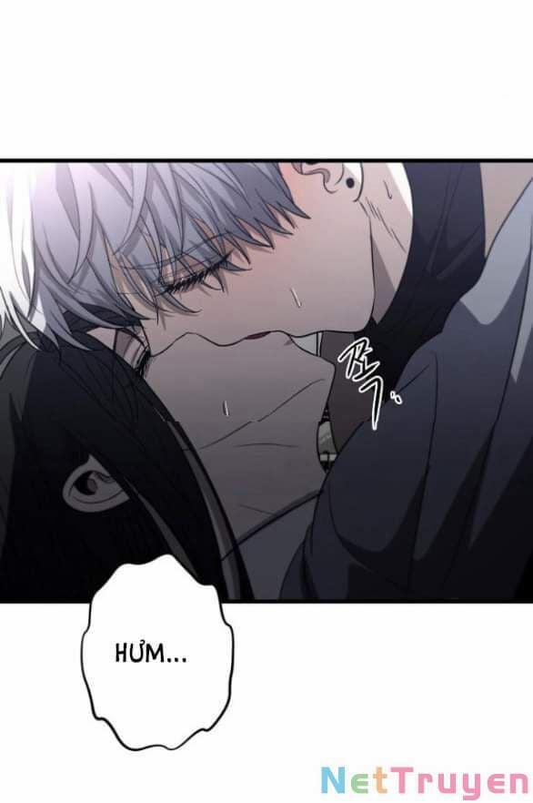 Tự Do Trong Mơ 88 trang 62