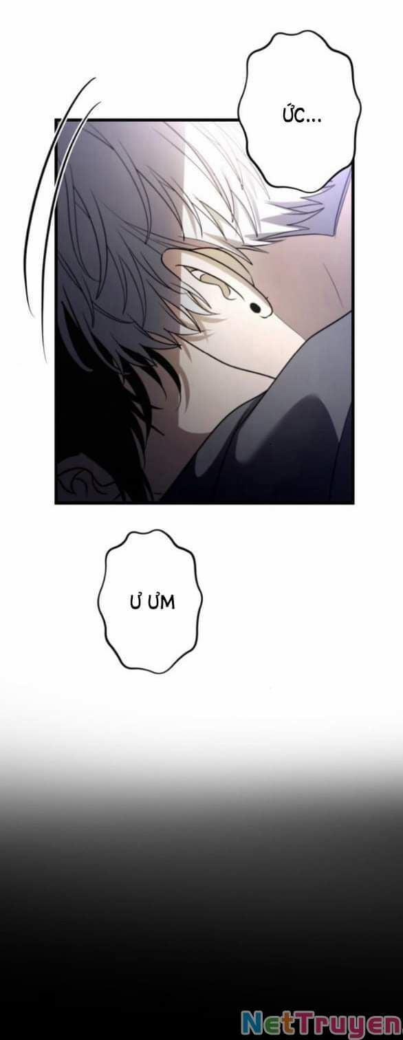 Tự Do Trong Mơ 88 trang 63