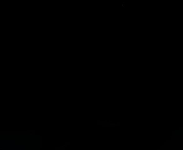 Tự Do Trong Mơ 91.1 trang 11