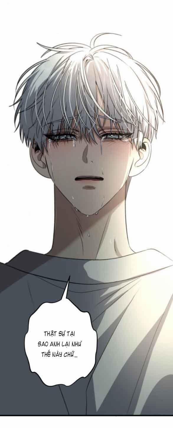 Tự Do Trong Mơ 91.2 trang 37