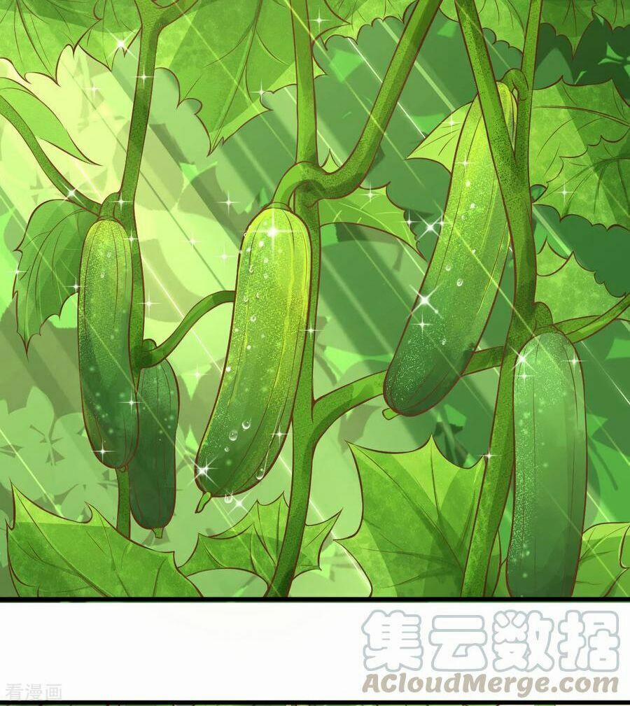 Từ Hôm Nay Bắt Đầu Làm Thành Chủ 102.2 trang 4