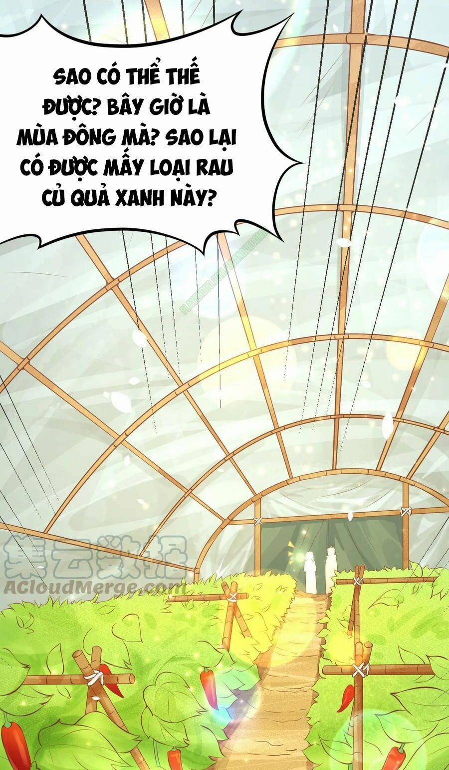 Từ Hôm Nay Bắt Đầu Làm Thành Chủ 102.2 trang 6