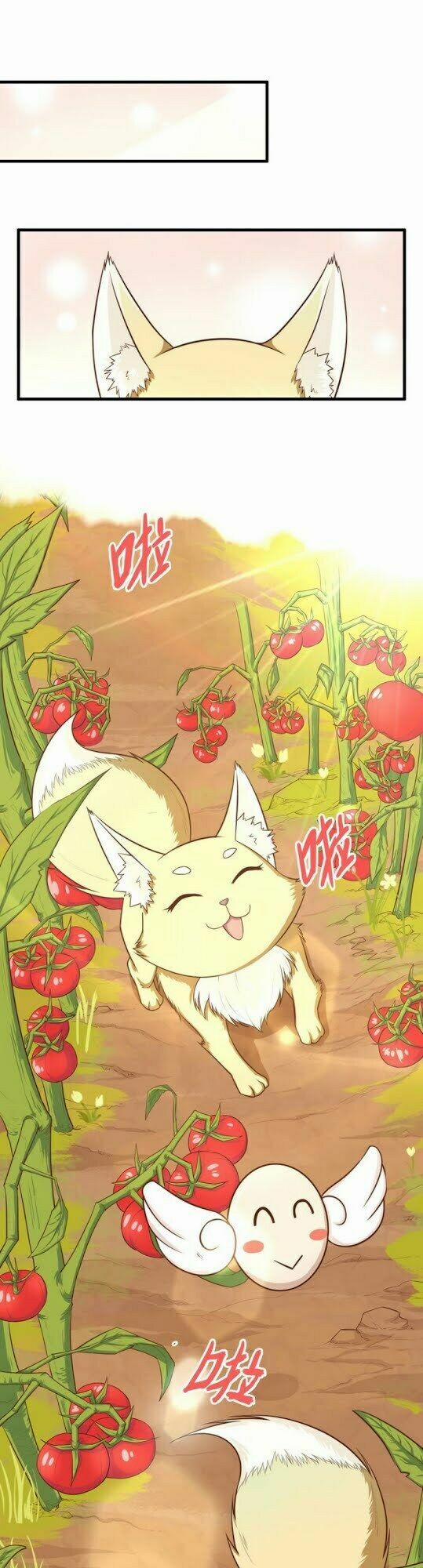 Từ Hôm Nay Bắt Đầu Làm Thành Chủ 19 trang 17