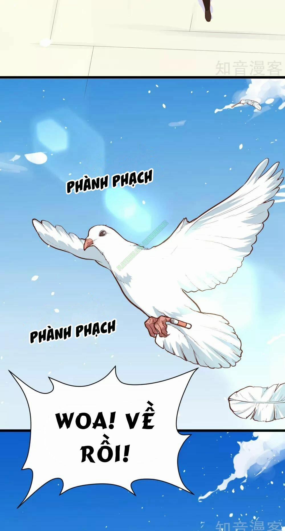 Từ Hôm Nay Bắt Đầu Làm Thành Chủ 93.2 trang 13