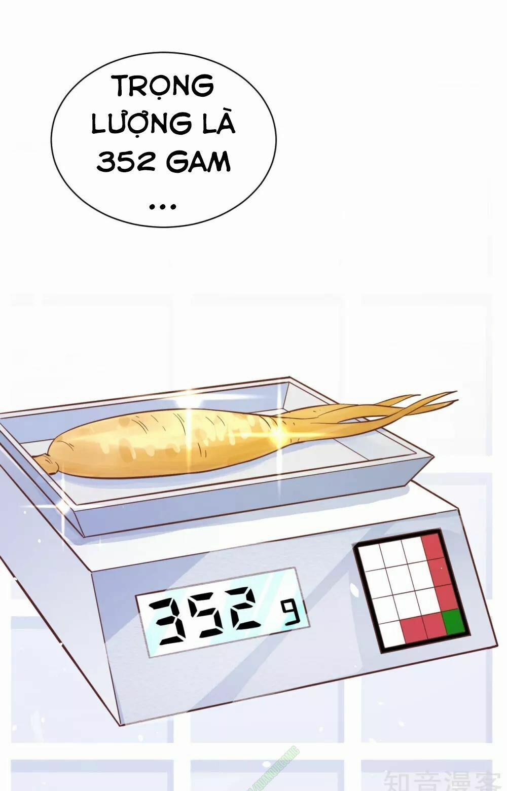 Từ Hôm Nay Bắt Đầu Làm Thành Chủ 94 trang 22