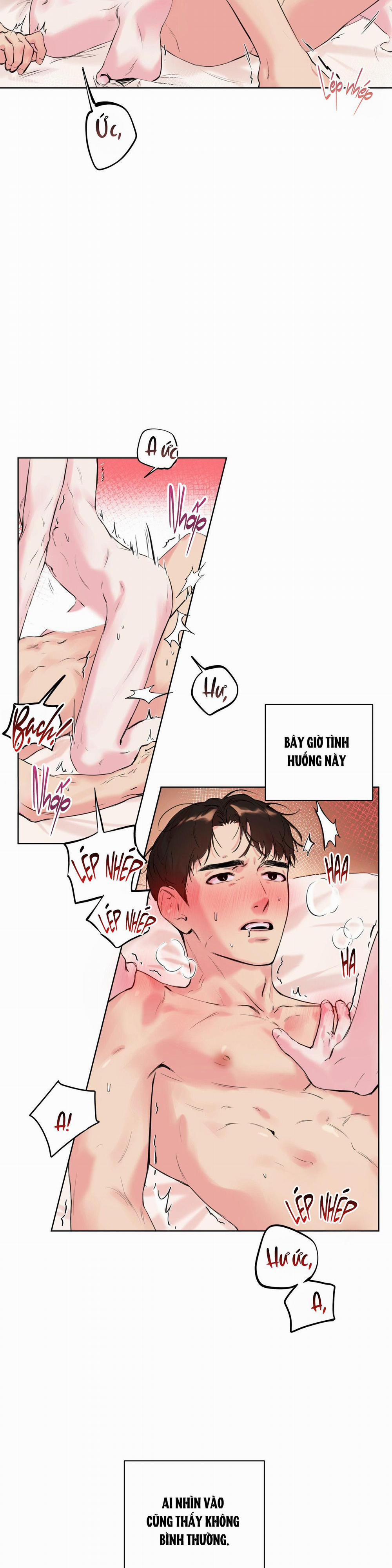 TU HÚ KHÔNG RỜI KHỎI TỔ 1 trang 1